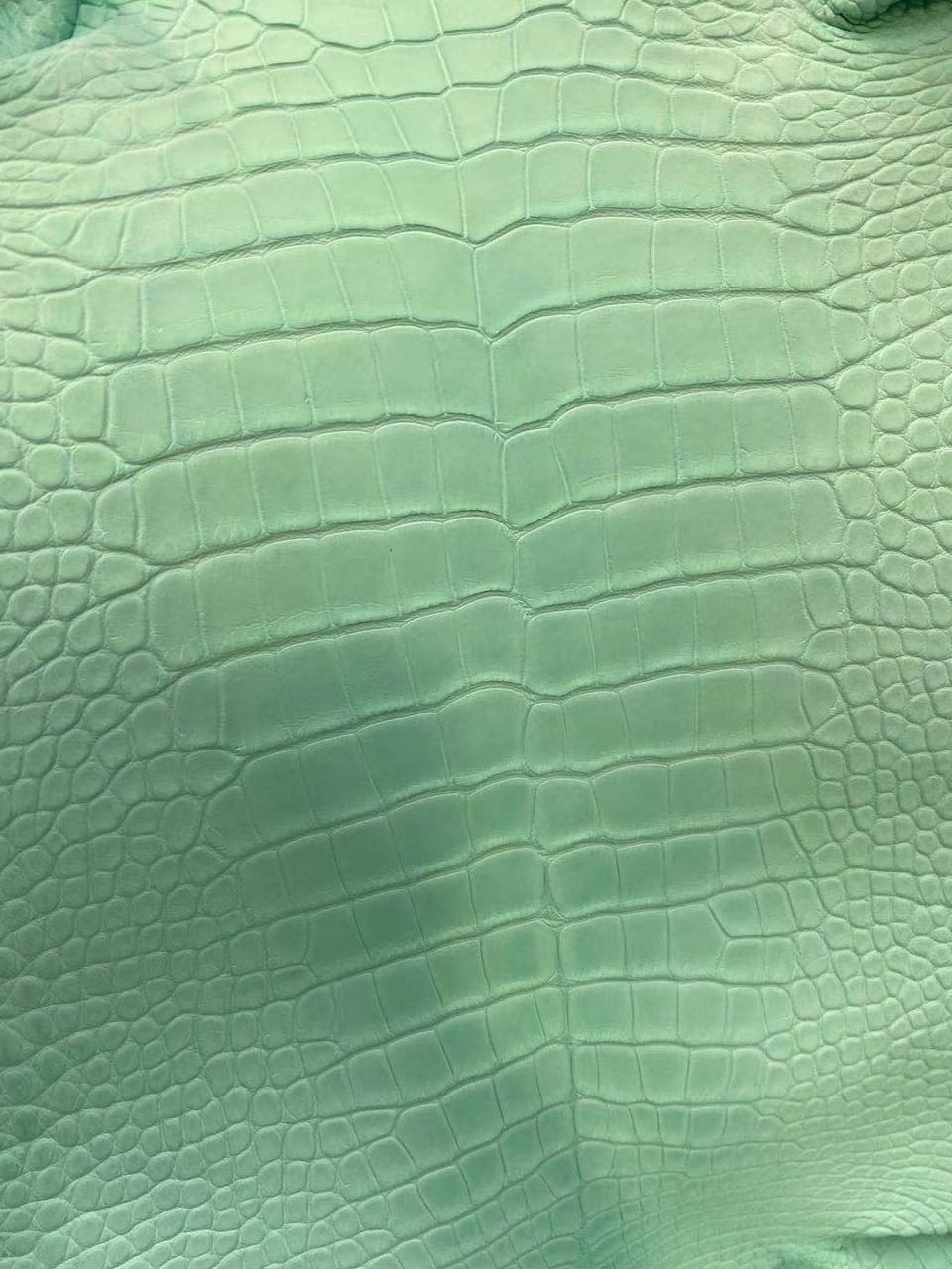 Hermès 100% Authentic  American Alligator Leather